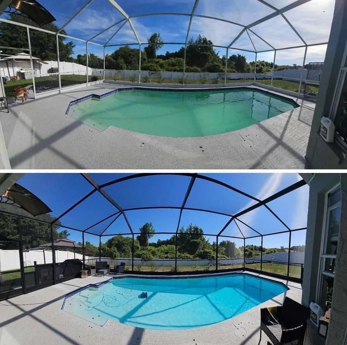 Before-and-after of a pool enclosure restoration, from a dated white frame to a refreshed bronze finish with new tight-fit screening